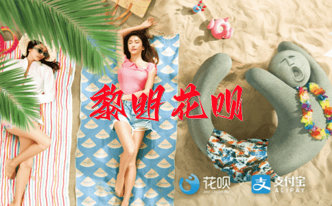 以己之长，攻敌之短花呗